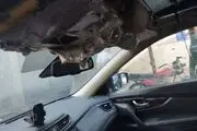 گروگانگیری آتشین مقابل مجتمع پالادیوم +عکس
