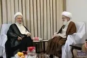 تاکید آیات عظام مکارم شیرازی و نوری همدانی بر تسریع در انتخاب رهبری