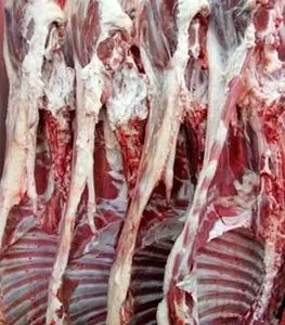 گوشت گوسفندی ۳۰ هزار تومانی در راه همدان 