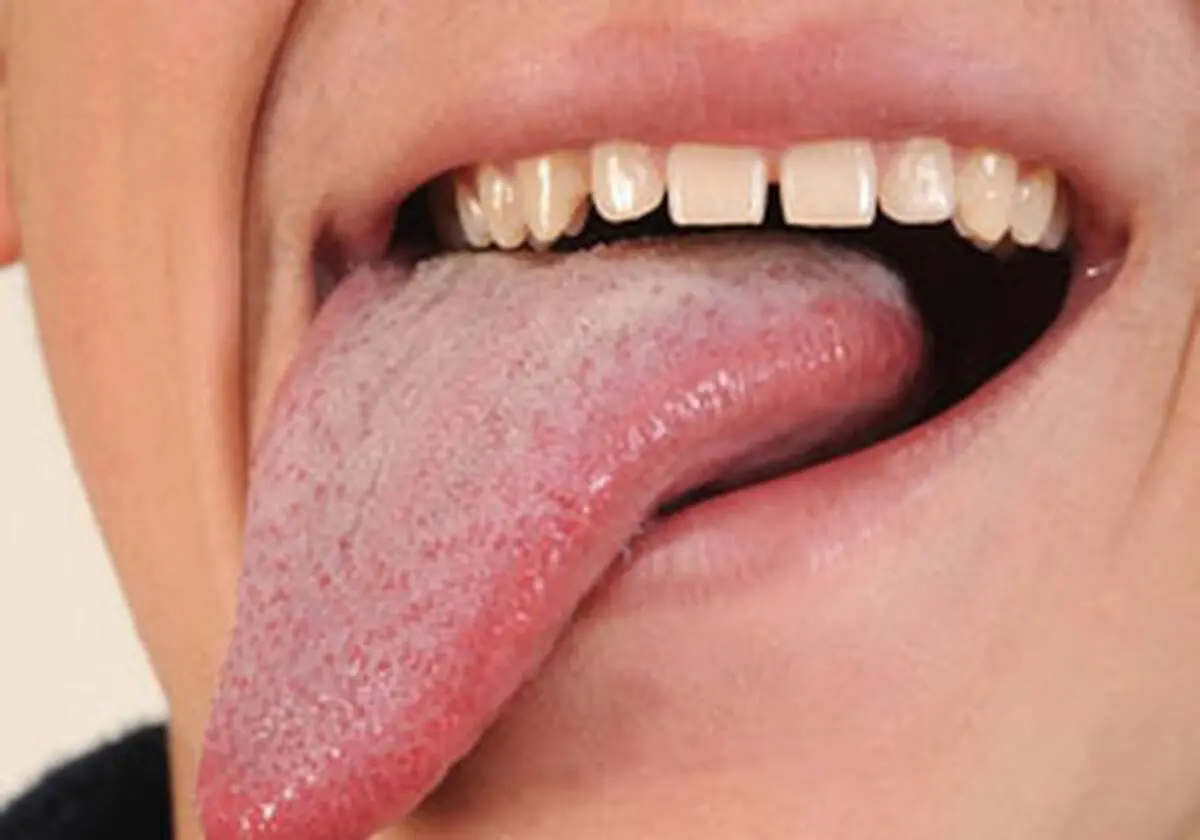 چگونه می‌توان با زبان دنیا را تکان داد؟