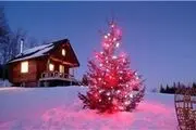 گران‌‌ترین درخت کریسمس تاریخ +عکس