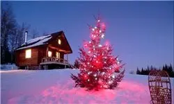 گران‌‌ترین درخت کریسمس تاریخ +عکس