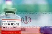 
چند نفر برای تست انسانی واکسن ایرانی کرونا آماده هستند؟
