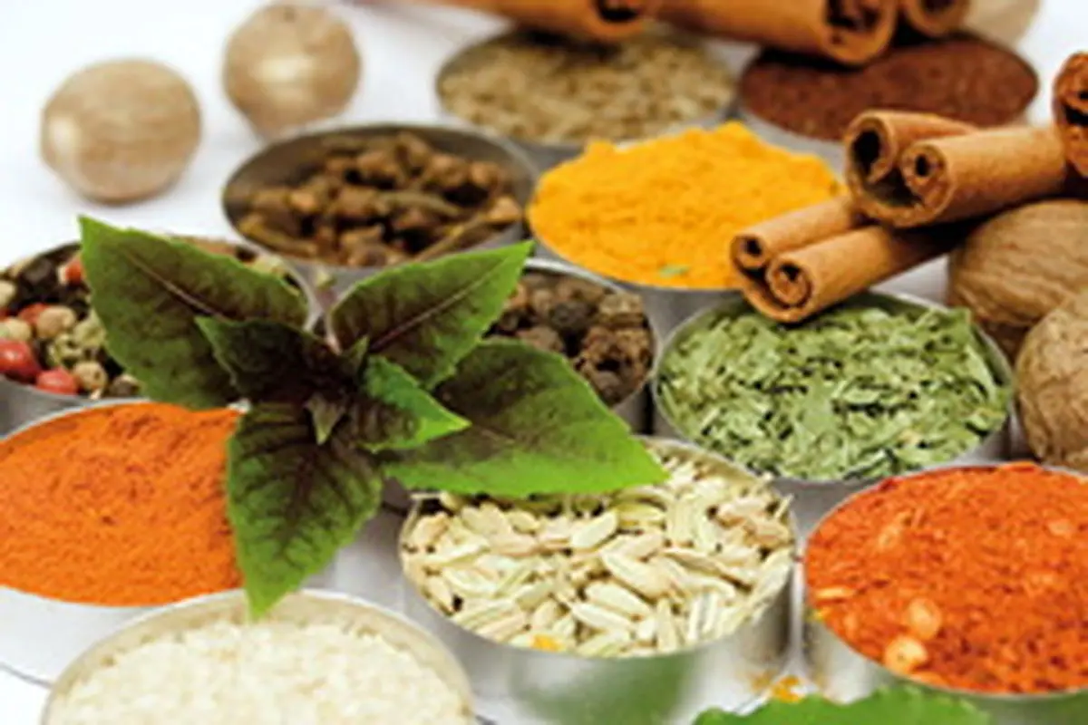 پیشگیری بیماریهای غیرواگیر با طب سنتی
