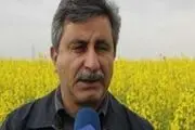 واردات روغن کشور در انحصار 4 یا 5 نفر /اختصاص ارز 4200 تومانی به روغن تعجب برانگیز است