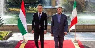 جزئیات گفتگوی تلفنی وزیر خارجه مجارستان با امیرعبداللهیان 