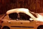 بارش برف بهاری در شهرستان فریدن/ تصاویر