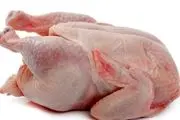 قیمت انواع گوشت مرغ بسته بندی در بازار

