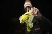تلف شدن پرندگان باغ پرندگان شیراز / گزارش تصویری