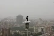 هوای تهران برای حساس‌ها «ناسالم» شد