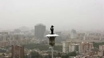 هوای تهران برای حساس‌ها «ناسالم» شد