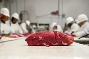  مصرف سرانه گوشت قرمز دهک‌های پایین فقط ۲۵ گرم در ماه