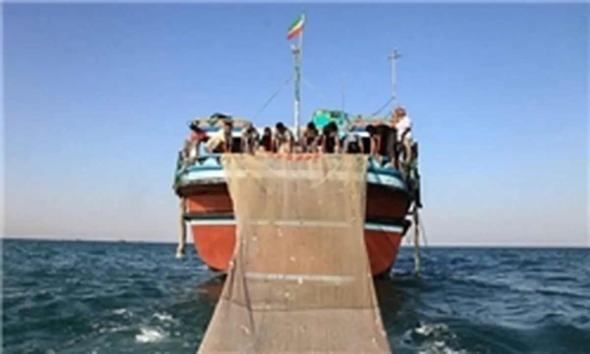 شکسته شدن رکورد کشوری تولید میگوی پرورشی در هرمزگان