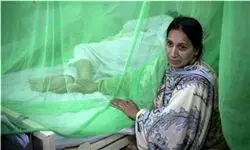 فوت 9 نفر بر اثر تب کنگو در پاکستان 