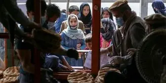  23 میلیون تن در افغانستان در معرض ناامنی غذایی قرار دارند