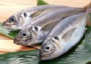 قیمت انواع ماهی در میادین تره بار/جدول
