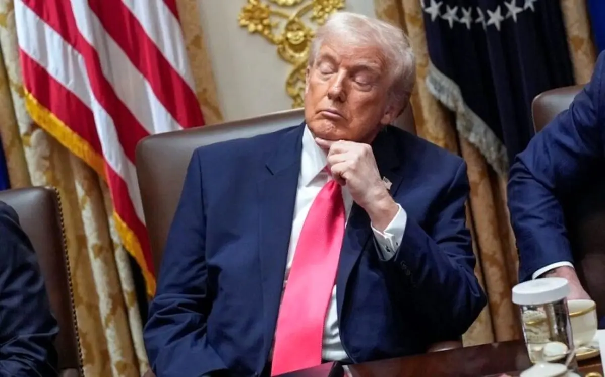 «نیوسام» ترامپ را «دُن خواب آلود» نامید