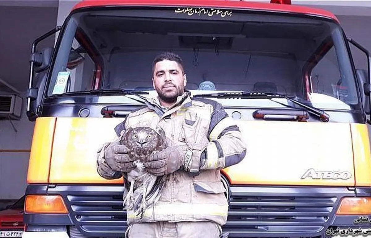 شکارچی که در پایتخت شکار شد