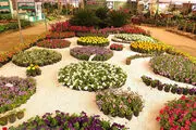 کاشت یک میلیون نشاء گل های فصلی در منطقه 7