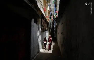 بهترین عکسهای خبری جهان/ گزارش تصویری