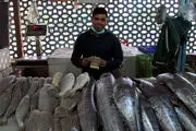 عرضه ماهی شب عید در نمایشگاه‌های بهاره