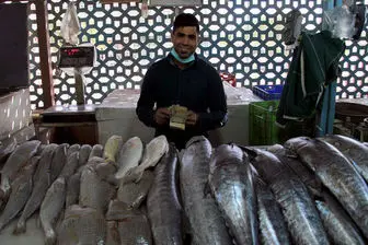 نرخ جدید انواع ماهی در بازار شب عید