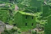 منظره‌ای دیدنی در رودبار/ عکس