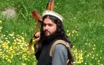 مغز متفکر نظامی طالبان کشته شد
