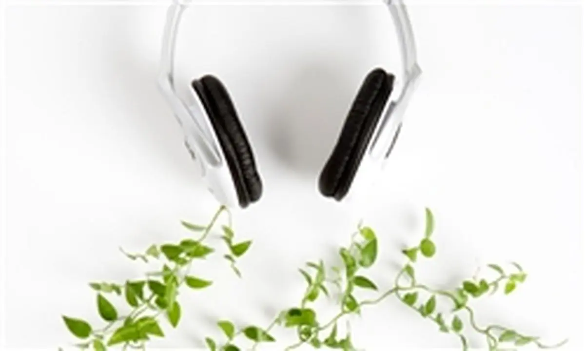 برای گیاهان خود موسیقی پخش کنید