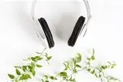 برای گیاهان خود موسیقی پخش کنید