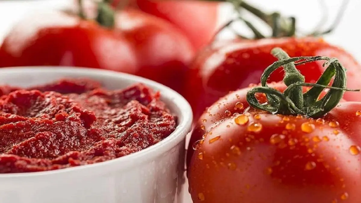 قیمت رب گوجه در بورس کالا شفاف می‌شود
