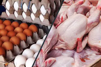 قیمت جدید مرغ و تخم مرغ در ۱۳ اردیبهشت ۱۴۰۱

