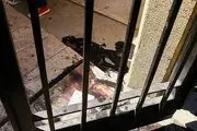 اگر تروریست ها به صحن مجلس می رسیدند