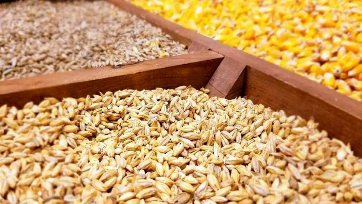 راهکار تنظیم بازار نهادههای دامی و محصولات پروتئینی چیست؟