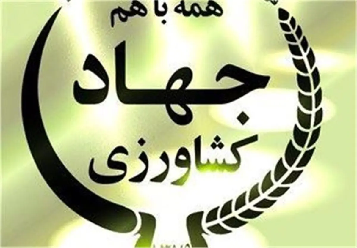 عملکرد ۴ ساله وزارت جهاد کشاورزی در یک نگاه