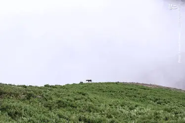 jSSmXucziObp