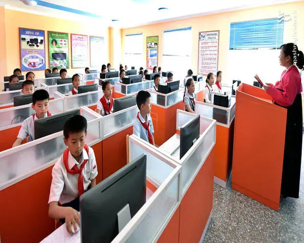 7YHPc6vDyfKf