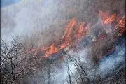 
آتش باز هم جنگل های گیلانغرب را فرا گرفت
