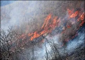 
آتش باز هم جنگل های گیلانغرب را فرا گرفت
