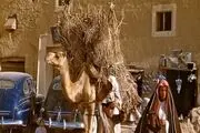 عربستان ۶۰ سال پیش! /گزارش تصویری