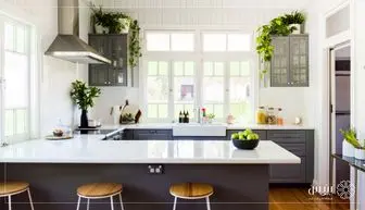 10 گیاه مناسب برای آشپزخانه

