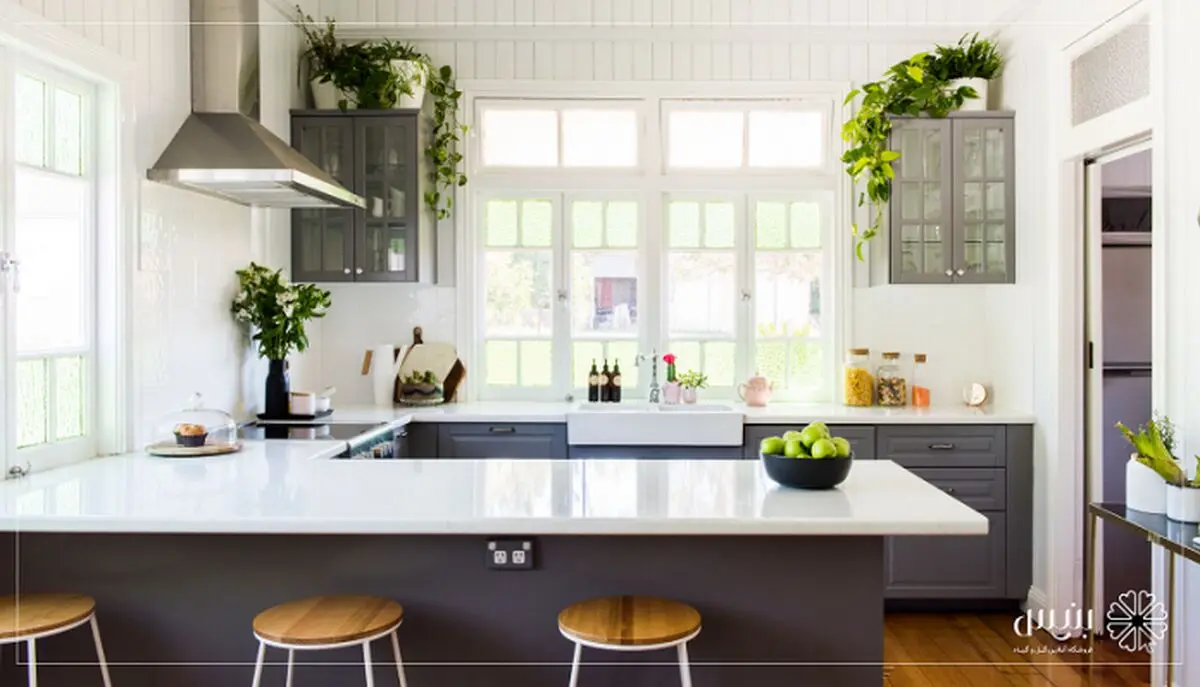 10 گیاه مناسب برای آشپزخانه


