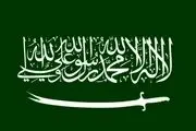 ارتباط مسئولان سعودی با بوکوحرام 