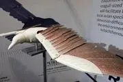 پهپاد‌ جاسوسی که شبیه به پرنده است