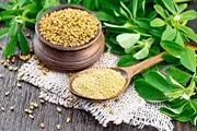 مصرف روزانه شنبلیله در روز با بدن شما چه می‌کند؟