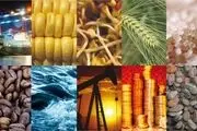 نکات مهم قبل از خرید موادغذایی
