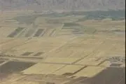 تخریب ساخت‌وسازهای غیرمجاز در اراضی حاشیه شهر شهرضا
