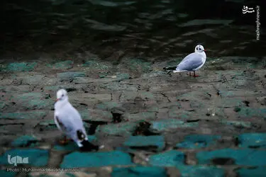 AlUpb9hwWZLK
