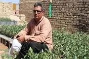 دریافت 12 میلیون سود خالص از 2 میلیون تومان سرمایه