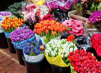 کاهش قیمت گل در بازار